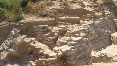 Excavated stone walls of the Harappan settlement at Kanmer, with measuring scales